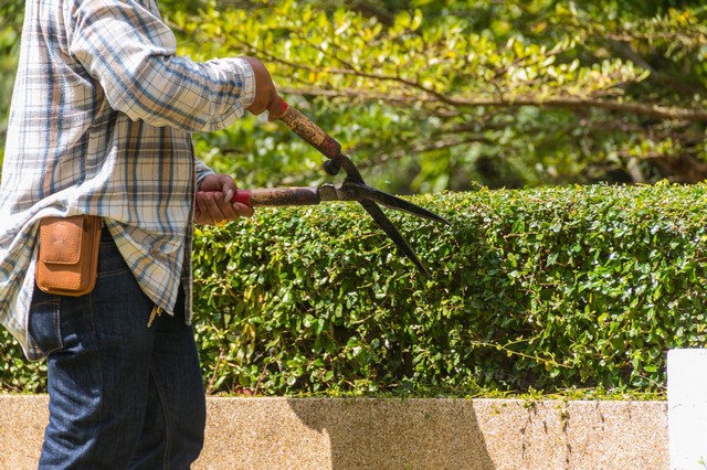 Garden Maintenance Palmers Green, N13