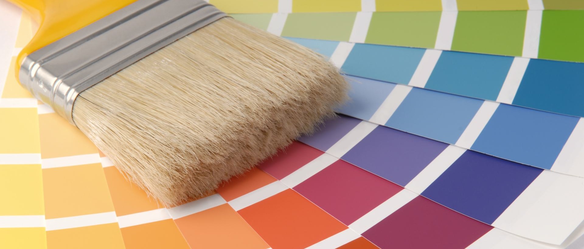 Painter N13